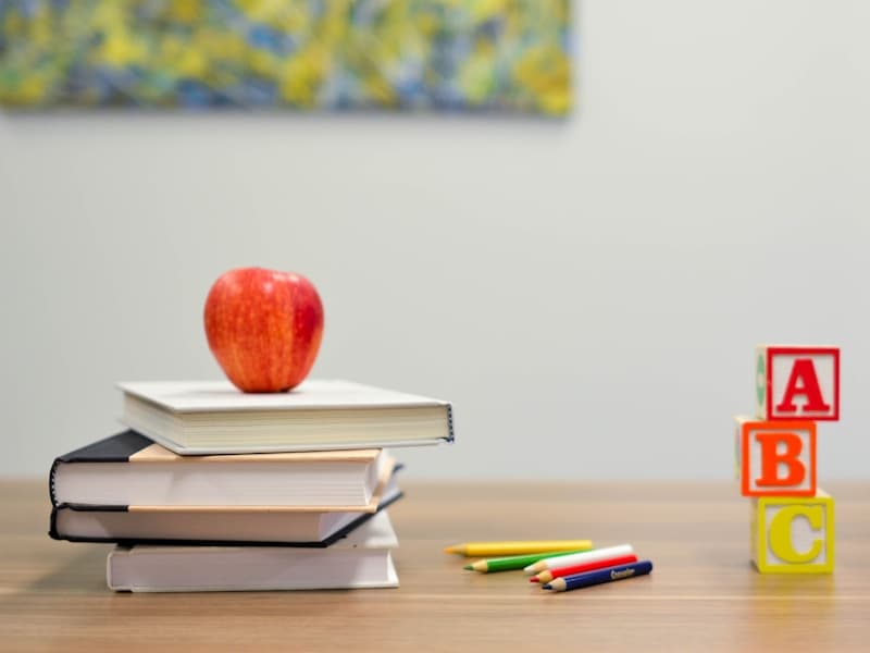 Instituciones Educativas